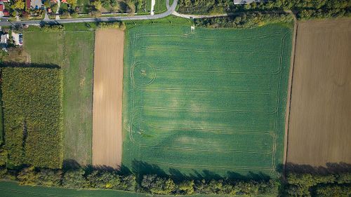 Landwirtschaftliches Grundstück mit Baumöglichkeit in ruhiger Lage in Nemesbük zu verkaufen
