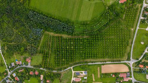 Borturizmusra ideális telek, kiemelkedő üzleti lehetőség