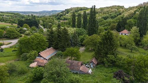  Eladó egy 34.000 m²-es telek az erdő szélén, nagy fákkal és fúrt kúttal.